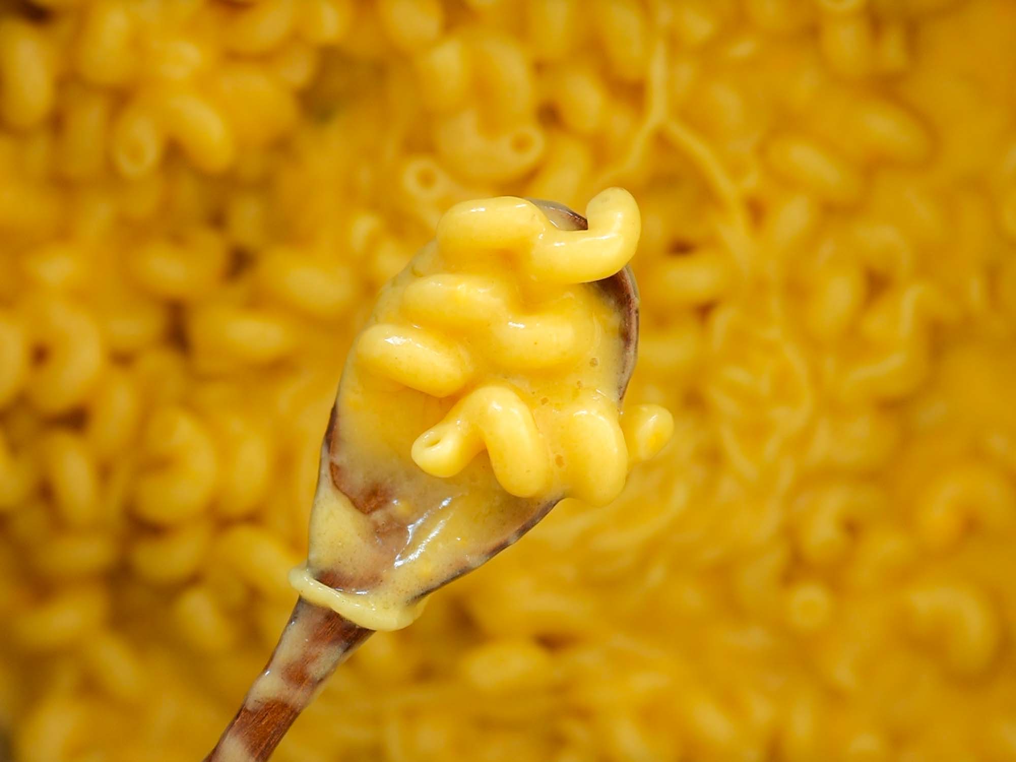 spoonful of creamy mac 'n cheese